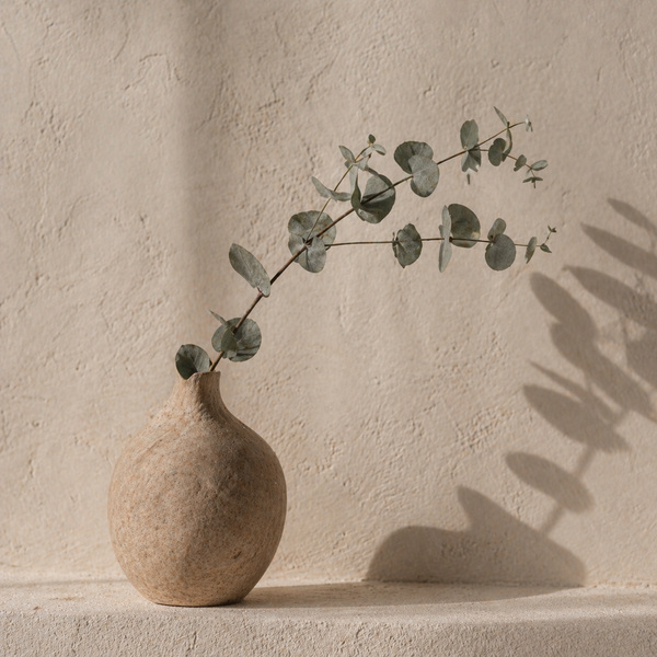 Window light on cotton bedding